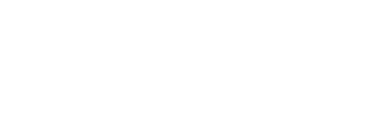 Bison Promotions & Marketing logo in white, horizontal format
