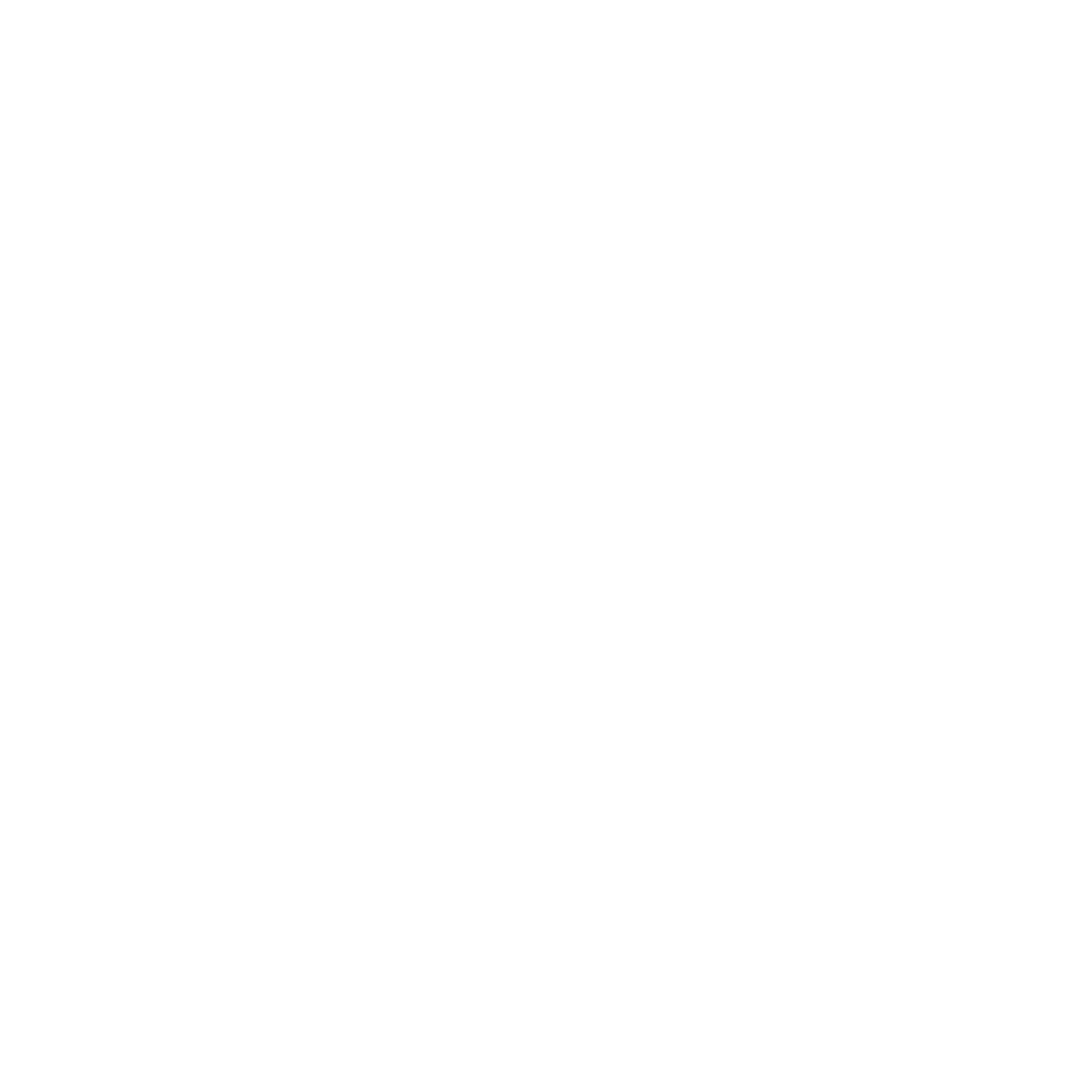 Bison Promotions & Marketing Standalone White Logo
